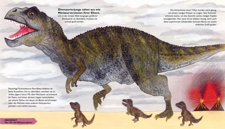 So lebten die Dinosaurier und andere Tiere der Urzeit