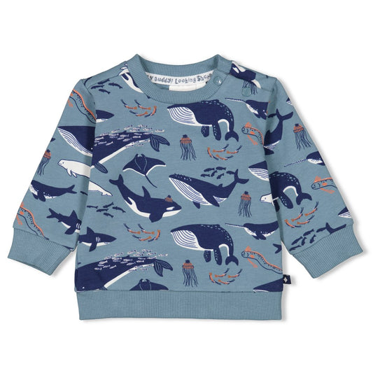 Sweater AOP- Looking Sharp